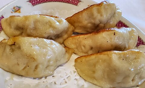 Five pan-fried dumplings, browned on one side, close together on a red-and-floral china plate.